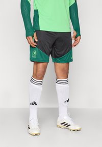 Camisola de manga longa verde com braços texturizados, calções pretos e verdes com um emblema do México, meias brancas com riscas pretas e cravos brancos.