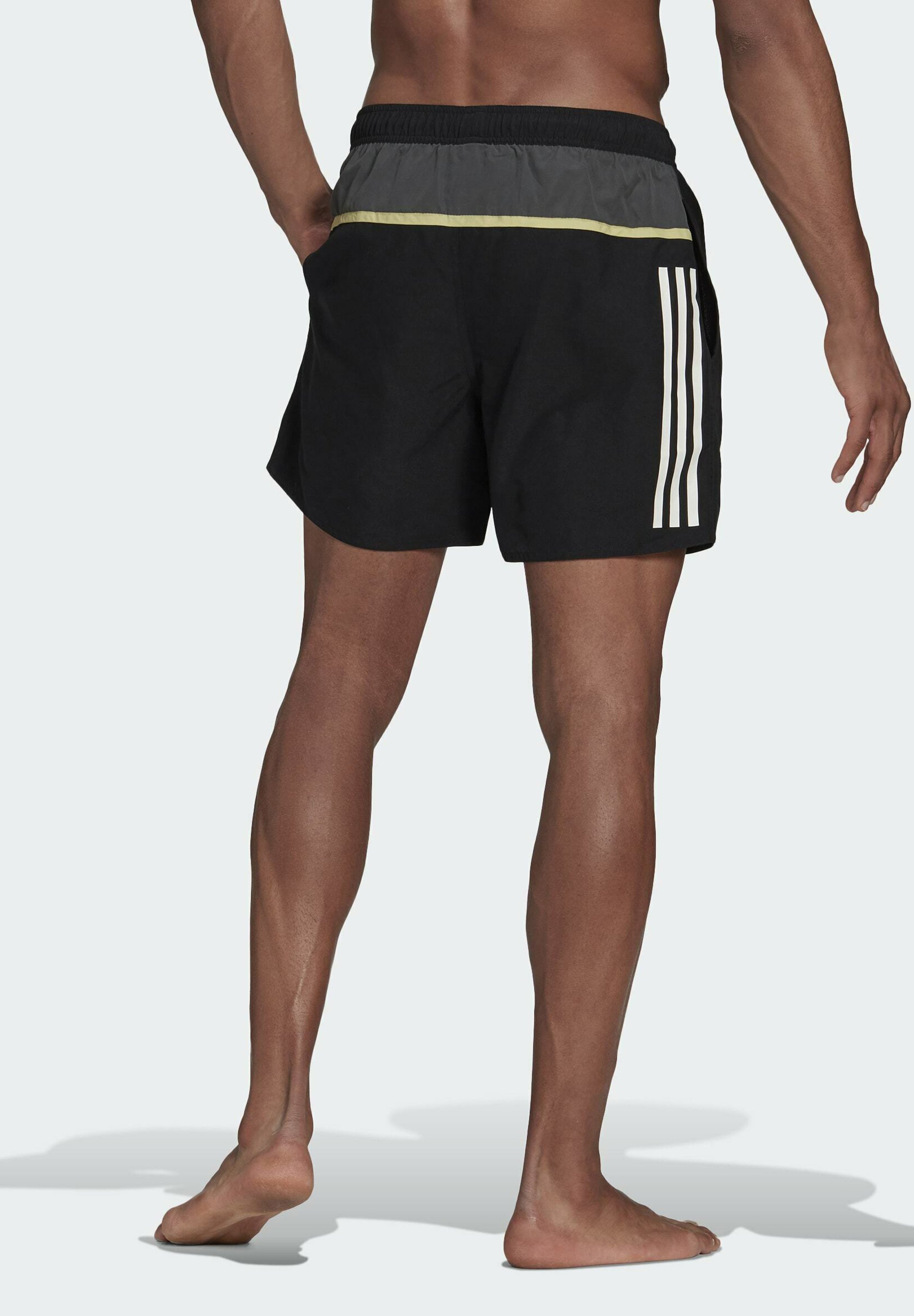 Men BOS3S CLASSICS SL MUST HAVES PRIMEGREEN SWIM SPORTS REGULAR SHORTS - Swimming shorts Men BOS3S CLASSICS SL MUST HAVES PRIMEGREEN SWIM SPORTS REGULAR SHORTS - Swimming shorts