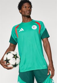 Camisa de futebol verde com detalhes em vermelho e logótipo, apresentando uma textura de malha e mangas curtas, acompanhada por calções combine e uma bola de futebol.