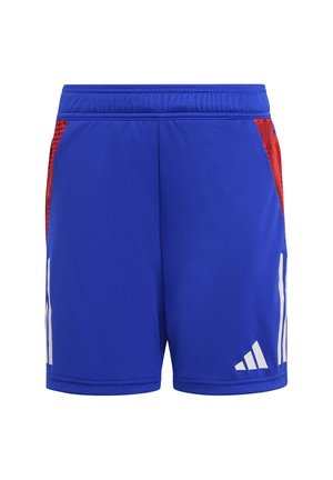 TIRO 24 COMPETITION KIDS - Pantalón corto de deporte - lucid blue white