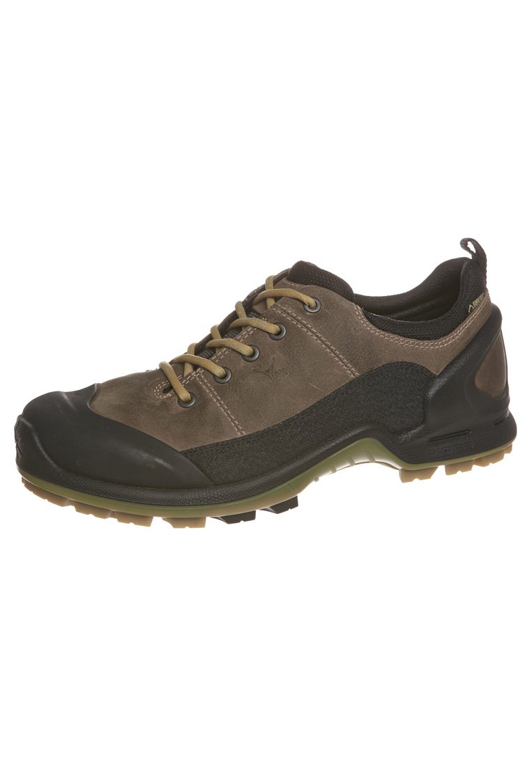 ecco terrain biom