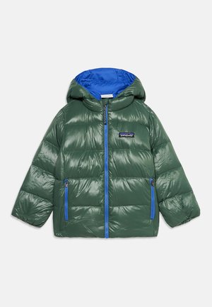 Doudoune verte avec capuche intérieure bleue et fermeture éclair, deux poches avant zippées et logo Patagonia sur la poitrine.