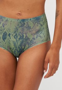 Chantelle Briefs - green