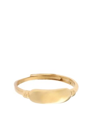 Eenvoudige open ring in goudkleur met een gladde, ovale bovenkant op een witte achtergrond.