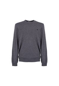Maglione grigio scuro in tessuto a maglia, con scollo rotondo, maniche lunghe e orlo a coste. Piccolo logo sul petto.