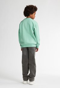 Sweatshirt vert menthe avec des poignets et un ourlet côtelés, associé à un jean en denim gris. La personne est de dos, mettant en valeur le design arrière.