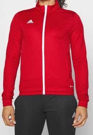 Mężczyzna w czerwonej kurtce Adidas na zamek z białym suwakiem oraz czarnych spodniach Adidas, stojący na jednolitym tle.