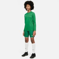 Uniforme de sport vert composé d'un haut à manches longues et d'un short, fabriqué en tissu lisse, avec des accents blancs et le logo Nike. Chaussures à crampons noires et chaussettes blanches jusqu'aux genoux.