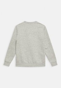 Felpa grigia, misto cotone, collo rotondo, maniche lunghe, polsini e orlo a coste, texture liscia, senza grafiche o loghi visibili.