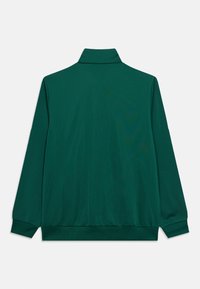 Chaqueta tipo pulóver verde con cuello alto, mangas largas y puños acanalados. Textura de tela lisa sin logos ni patrones visibles.