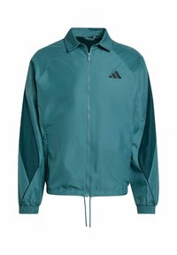 STADIUM  - Chaqueta de entrenamiento - preloved teal   aurora ivy