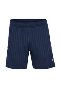 Marinblå shorts med vertikala ränder, elastisk midjeband och en liten logotyp på den nedre fållen. Tillverkad av ett mjukt, andningsbart tyg.