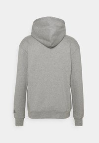 Felpa grigia con cappuccio realizzata in tessuto morbido, caratterizzata da cappuccio, maniche lunghe, polsini a costine e un piccolo logo sulla manica sinistra.