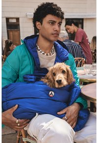 Manteau doudoune bleu porté par une personne, avec un logo rond. Un chien doré blotti à l'intérieur du manteau. Vestes vertes et bleues superposées en dessous.