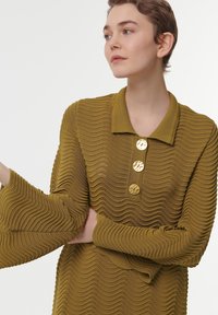 Robe en tricot côtelé vert olive avec un col et trois boutons dorés à l'avant. Manches évasées avec des vagues texturées.