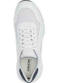 Scarpa sportiva bianca con tomaia in rete e materiale sintetico, punta tonda, lacci bianchi e un accento blu navy sul tallone. Marchio Geox all'interno.