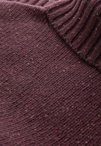 Seasalt Cornwall FORESTING - Svetr - purple merlot