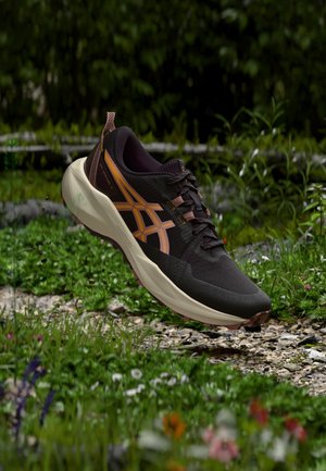 ASICS GEL-VENTURE 11 - Παπούτσια για τρέξιμο σε μονοπάτια - dark aubergine/sandstorm