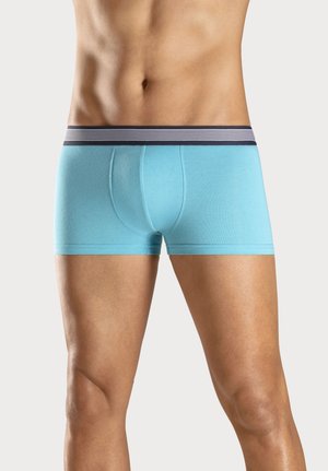 Männlicher Torso und Beine in hellblauen Boxershorts mit einem schwarz-weiß gestreiften Bund vor einem einfarbigen Hintergrund.