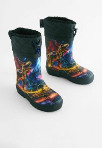 Bottes de pluie en caoutchouc avec des tiges noires matelassées, présentant un motif coloré de dinosaure et de paysage. Semelles noires texturisées pour une meilleure adhérence.