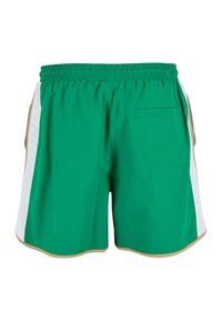Shorts verts en matériau léger, avec des bandes blanches sur les côtés et des accents beige. Ceinture élastique avec une poche arrière.