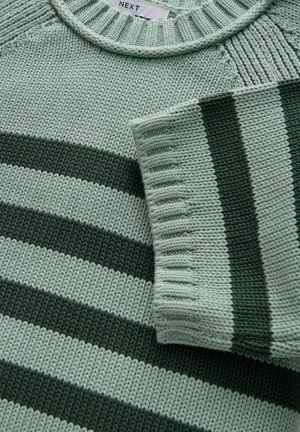 Next Lihtne T-särk - teal blue stripe
