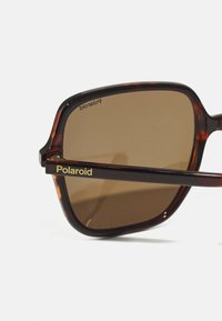Gafas de sol carey con lentes marrones. Texto en dorado "Polaroid" en la patilla negra. Diseño cuadrado redondeado con un acabado brillante.