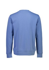 Blå sweatshirt med långa ärmar, rundad hals och ribbade manchetter. Mjuk tyg med en slät yta och inga synliga mönster eller detaljer.