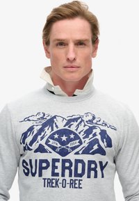 Felpa grigia con una grafica di una montagna blu e la scritta "SUPERDRY TREK-O-REE." Presenta un collo rotondo a costine e un colletto visibile sotto.