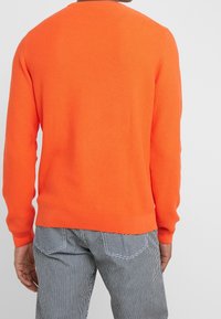 Texturierter orangefarbener Pullover mit rundem Halsausschnitt, langen Ärmeln und geripptem Saum. Kombiniert mit gestreiften Hosen, die eine lässige Rückansicht zeigen.