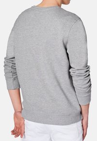 Szary sweatshirt o luźnym kroju, z prążkowanymi mankietami i dołem. Materiał wydaje się miękki i o teksturze, odpowiedni na codzienne noszenie.