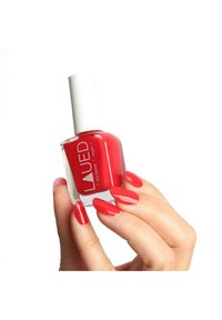 Immagine in miniatura 4