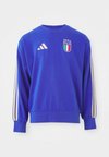 FIGC ITALY DNA - Felpa - bold blue