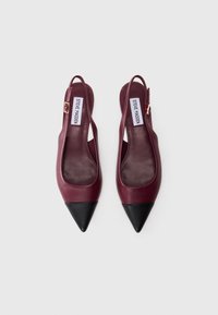Ballerine in pelle bordeaux con punta nera e cinturini con fibbia dorata, etichettate Steve Madden, su uno sfondo bianco.