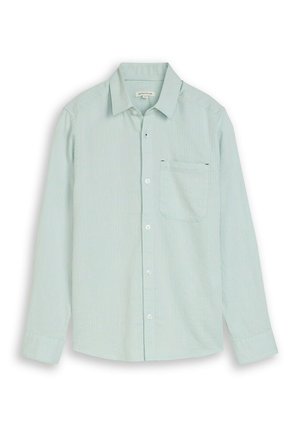 Camicia verde chiaro a maniche lunghe con bottoni, sottili righe verticali e taschino sul petto su sfondo bianco.