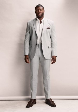 Muž stojaci, oblečený v svetlosivom obleku s bielou košeľou, vreckovkou v náprsnom vrecku a hnedými spoločenskými topánkami na jednofarebnom svetlom pozadí.