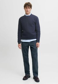 Mladenič s kratkimi kodrastimi lasmi, oblečen v temno modro teksturirano pulover, pod katerim ima svetlo modro srajco, temne hlače in temno rjave čevlje, stoji ravno.