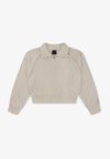 QUARTER ZIP - Sweatshirt - sanddrift