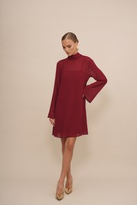 Bordeaux mini-jurk van doorschijnende stof, met flare-mouwen en een hoge kraag. In combinatie met gouden hakken, voegt een vleugje elegantie toe.
