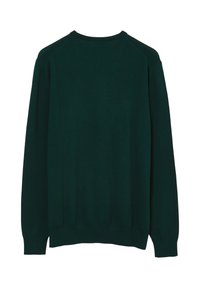 Calliope PROFILI CONTRASTO FIN  - Strickpullover - vert