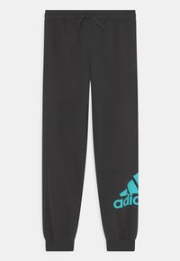 adidas Performance UNISEX - Jogginghose - black/semi mint rush