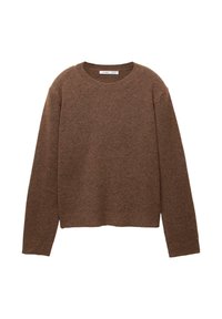 SOFT - Pulóver - brown