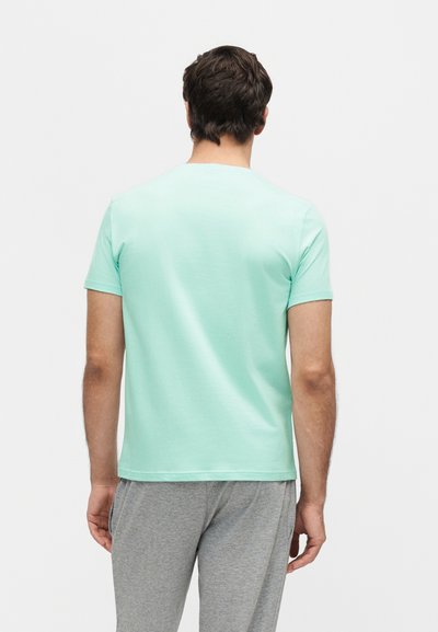 Άνδρας που φοράει ένα T-shirt κοντομάνικο σε μέντα πράσινο χρώμα και γκρι παντελόνια, στέκεται με την πλάτη γυρισμένη προς τον θεατή σε ένα απλό λευκό φόντο.