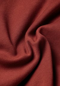 G-STAR PREMIUM CORE - Jersey con capucha - dry red