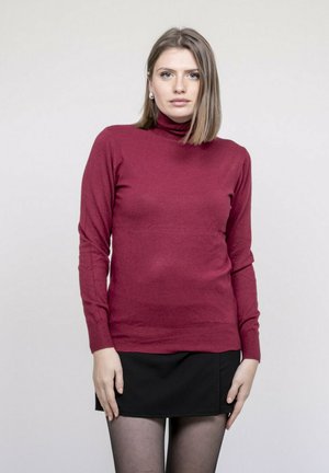 Jeune femme portant un pull à col roulé bordeaux, une jupe noire et des collants noirs transparents, debout devant un fond clair uni.