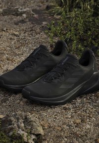 Paar zwarte Adidas Terrex trailrunning schoenen geplaatst op rotsachtige grond met kleine groene planten in de buurt.