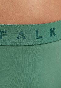 Groene heren boxershorts met een geweven tailleband waarin het woord "FALK" in bijpassend groen staat. Glad, rekbaar materiaal met een ribbelstructuur.