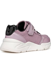 Geox Baskets basses - dark rose black