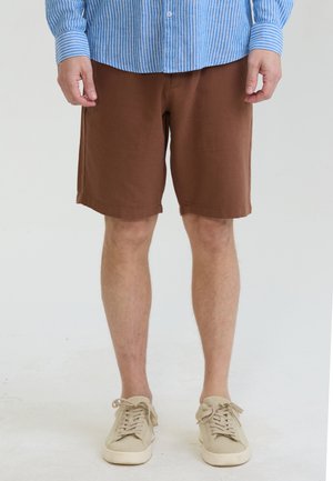 Mand iført brune knælange shorts, beige sneakers og en blå- og hvidstribet langærmet skjorte, stående foran en ensfarvet baggrund.