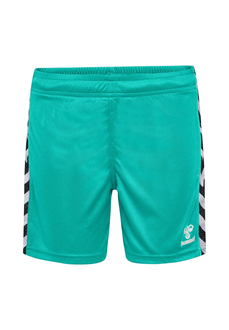 Turkosa träningsshorts gjorda av syntetiskt material med elastisk midja, med svart och vit zigzag-accentmönster på sidorna.